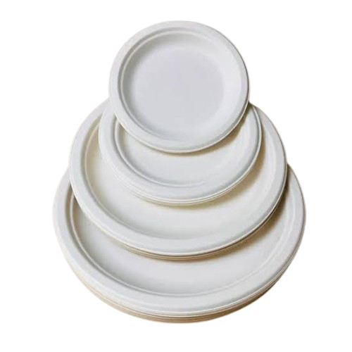Bagasse Plates